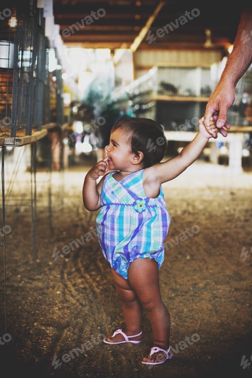 Preview: At the county fair looking at chickens