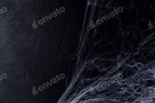 Preview: Halloween background with spider web on the black background. Happy Halloween concept.