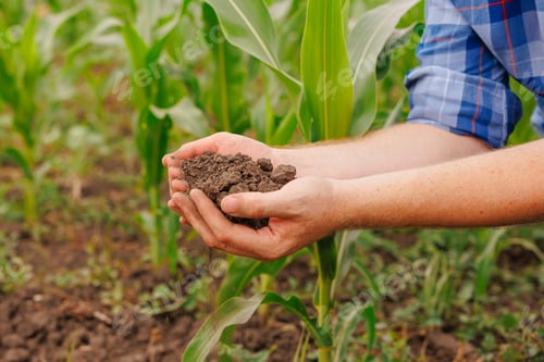 Preview: Male hands touching soil on the field.