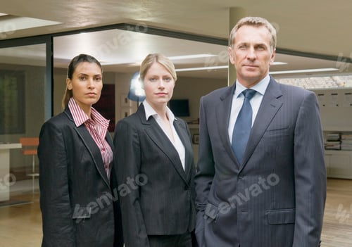 Preview: A portrait of three business people.