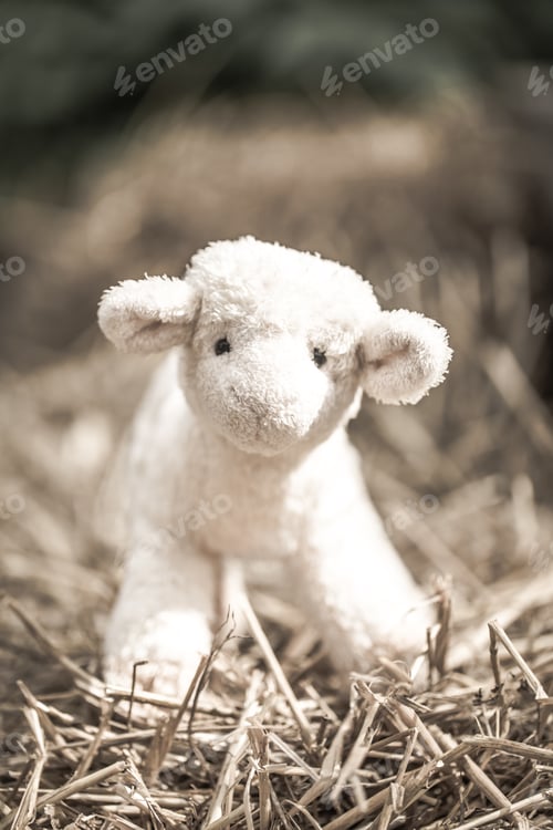 Preview: little sheep toy
