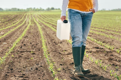 Preview: Corn crop protection concept, female farmer holding jerry can container canister with pesticide