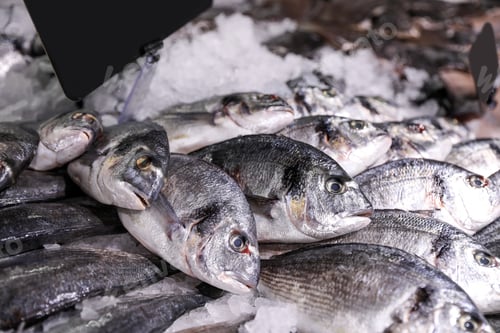 Preview: Fresh raw fish with ice in supermarket, closeup