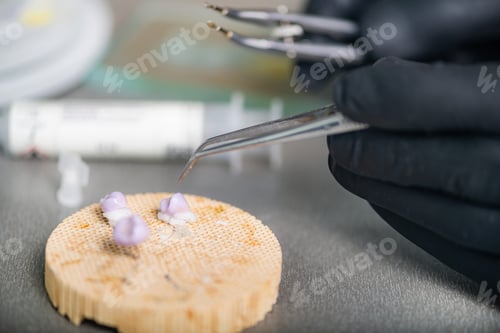 Preview: Teeth Prosthodontics. Teeth Crowns Prepared for Oven and Press.