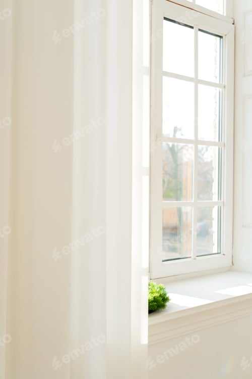 Preview: Bright window with sheer curtain and green plant on sill, soft light indoors