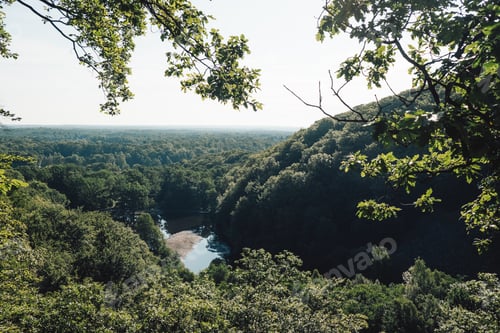 Preview: Forest Valley Panorama