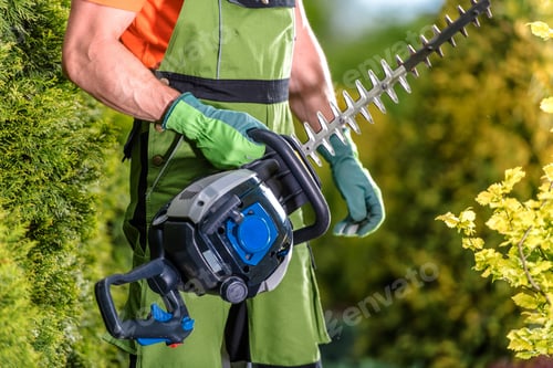 Preview: Professional Hedge Trimmer in Hands of Gardener