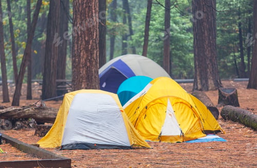 Preview: Camping