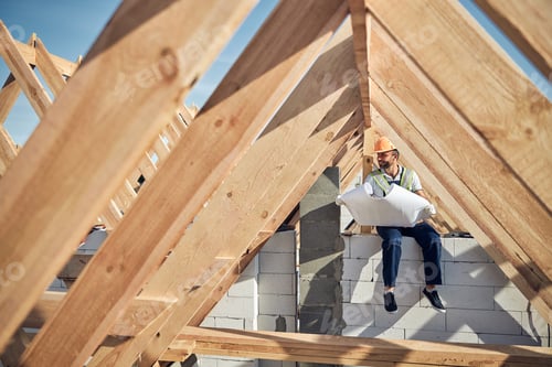 Preview: Joyous man wearing a hardhat and holding a blueprint