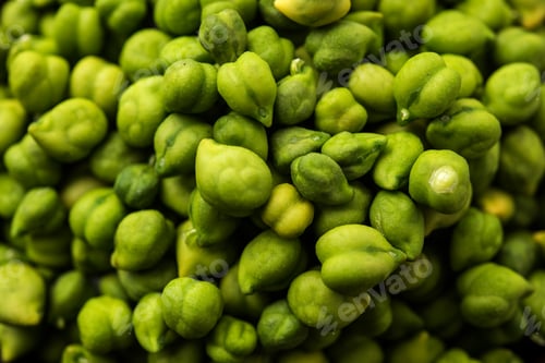 Preview: Fresh Green Chickpeas