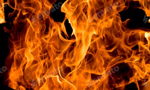 Preview: Flames of fire on black background