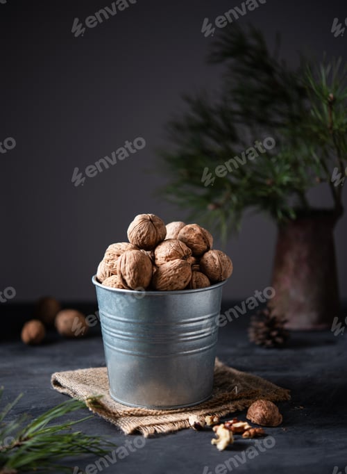Preview: walnuts in a metal jar on a dark background among green fir