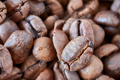 Preview: Close up picture of freshly roasted coffee beans.