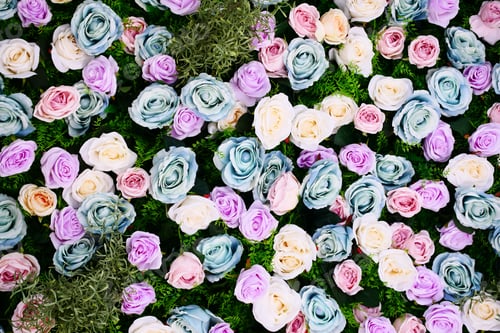 Preview: Lying on branch rose on mat background