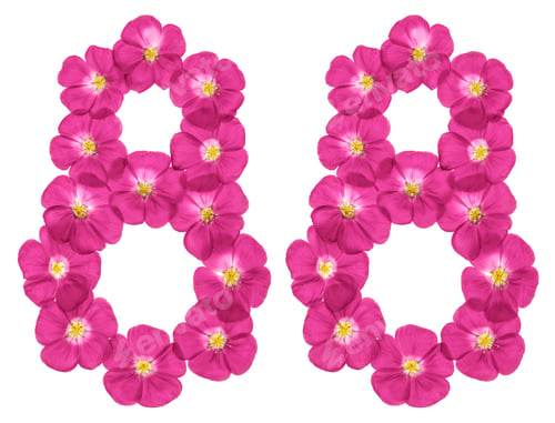 Preview: Arabic numeral 88, eighty eight, from pink flowers of flax, isolated on white background