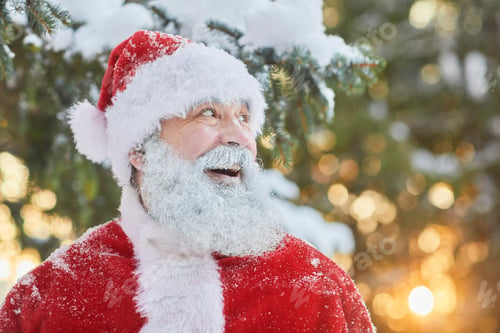 Preview: Smiling Santa in Snow