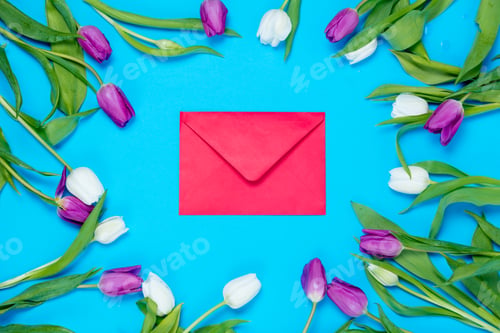 Preview: envelope and tulips