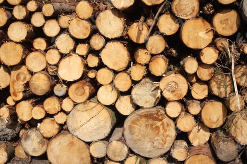 Preview: Vers gekapt hout op een stapel.