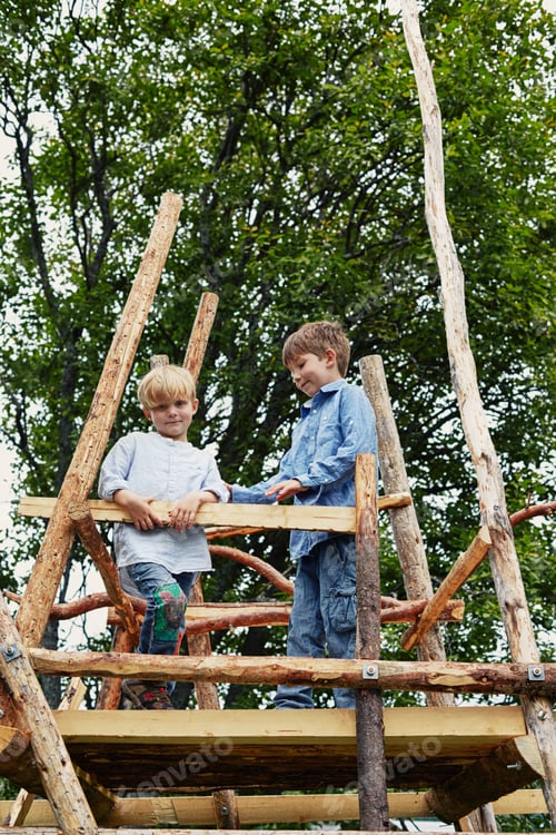Preview: Two young brothers on top of tree house in forest