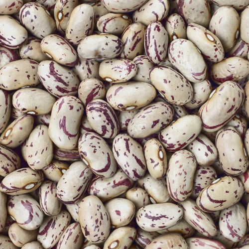 Preview: Cranberry, Borlotti or Shell beans texture background or pattern. Raw food.