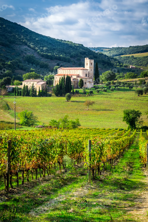 Preview: Fields of vineyards nearby monastery in Tuscany