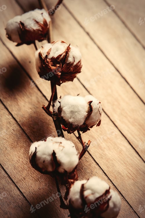 Preview: Cotton branch on wooden table