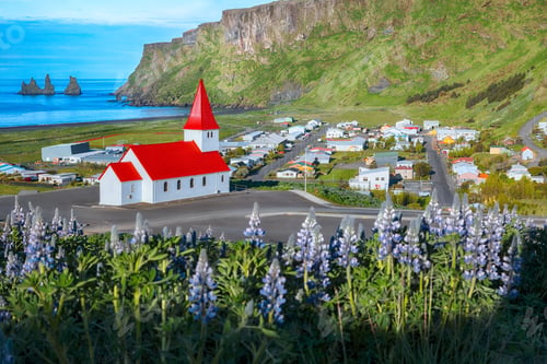 Preview: Impressive view of Vikurkirkja christian church in blooming lupine flowers.