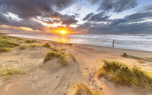 Preview: Dune Landscape under cloudy autumn sky
