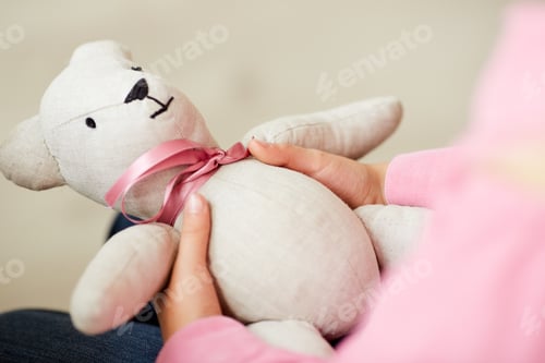 Preview: Toy bear in hands