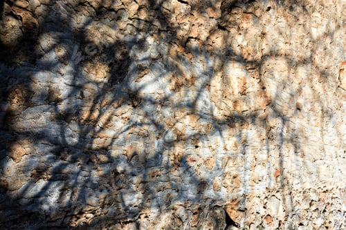 Preview: Old bricks wall pattern. Medieval stone wall. Background, texture