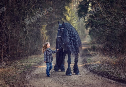 Preview: No for promo