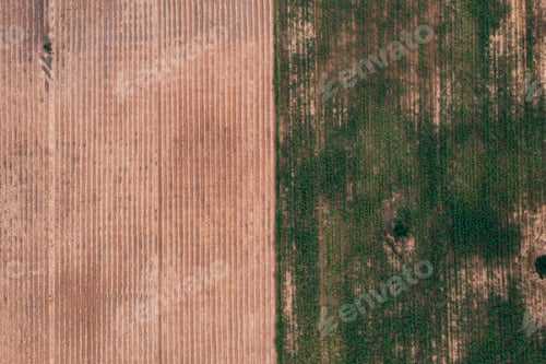 Preview: Aerial view of crop fields on a sunny day, featuring green and brown patches.
