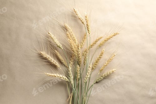 Preview: Many wheat spikes on paper background, flat lay