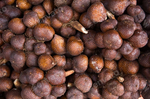 Preview: Salak snake fruit