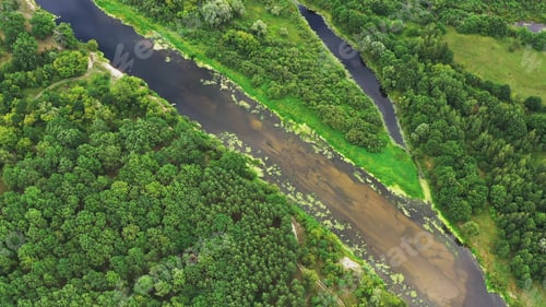 Preview: Aerial View Green Forest Woods And River Landscape In Summer Day. Top View Of Beautiful European