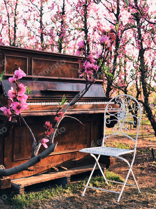Preview: Blooming trees and piano