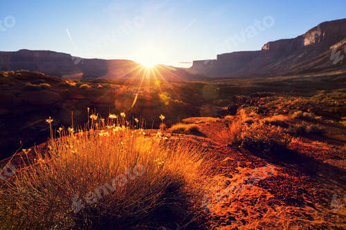 Preview: American prairie