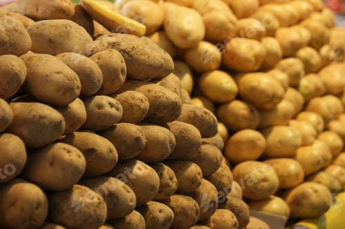 Preview: Heap of young potatoes close up.