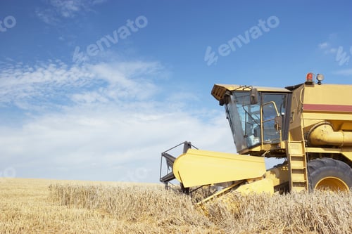 Preview: Combine Harvester Working In Field