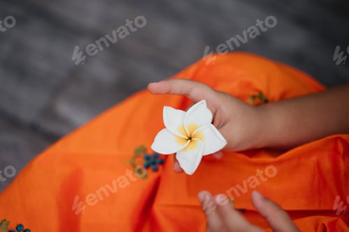 Preview: Paradise flower in a childs hands Plumeria Frangipani. Concept of a family beach vacation.