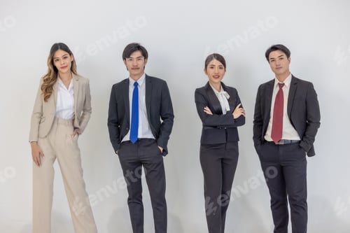 Preview: Professional Business Team standing against a plain background