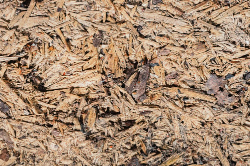 Preview: Weathered Wood. Dirty Old Board - After Exposure To Rain, Snow And Dirt Adhering