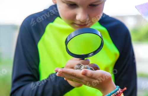 Preview: The child looks at the snail. Selective focus.