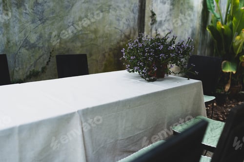 Preview: empty coffee cafe table with wood chair in green garden, wooden nature decoration design