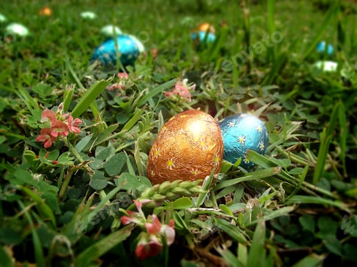 Preview: Easter bunny's easter egg trail in the grass