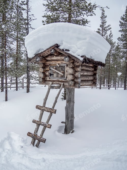 Preview: Old wooden hut in winter snowy forest in Finland, Lapland.