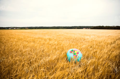 Preview: Globe in grain field