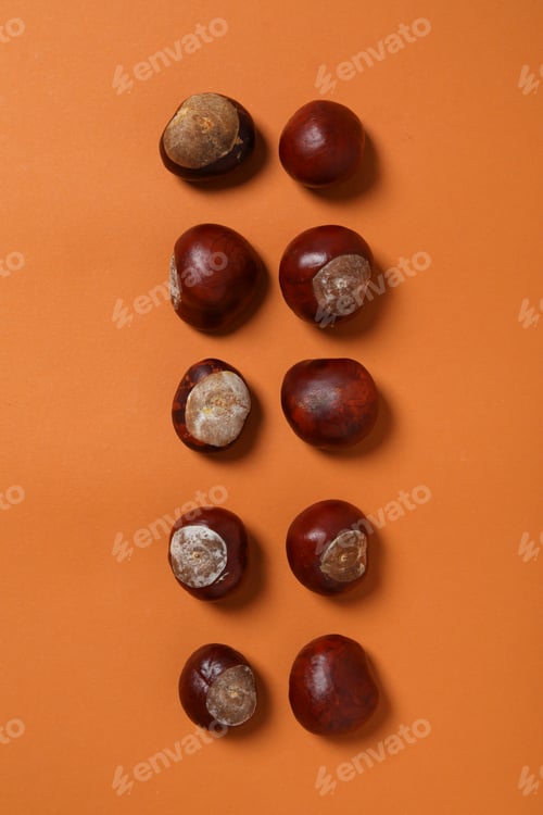 Preview: Fresh chestnut fruits on an orange background