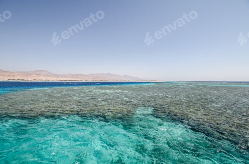 Preview: Vibrant waters and coral landscape of Red Sea
