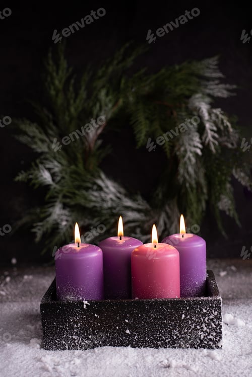 Preview: Four Christmas burning pink and purple advent candles.